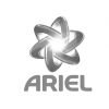 ariel